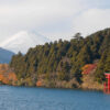箱根温泉の人気宿はこれだ！おすすめの温泉旅館・ホテルランキングTOP20