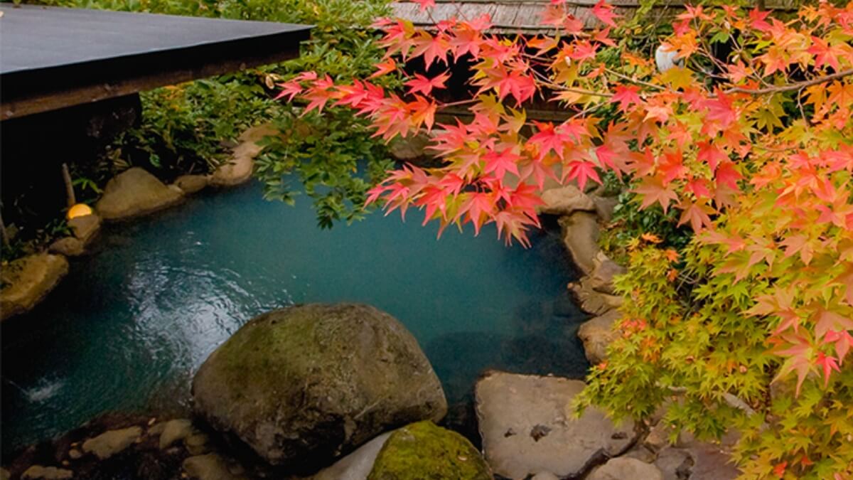 黒川温泉 お宿 野の花