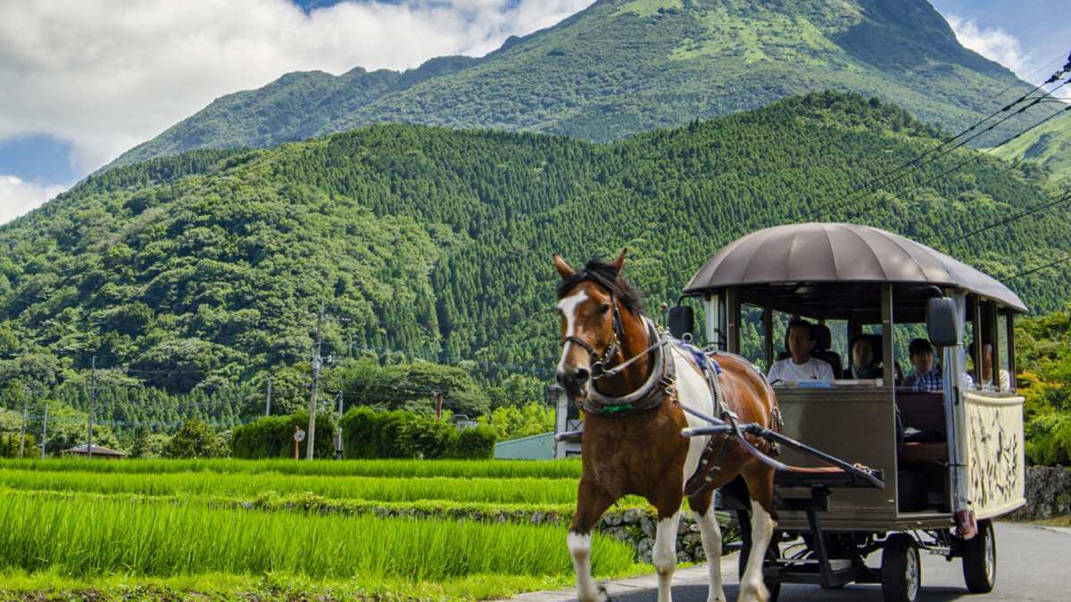 由布院温泉の露天風呂付き客室が人気の宿ランキング