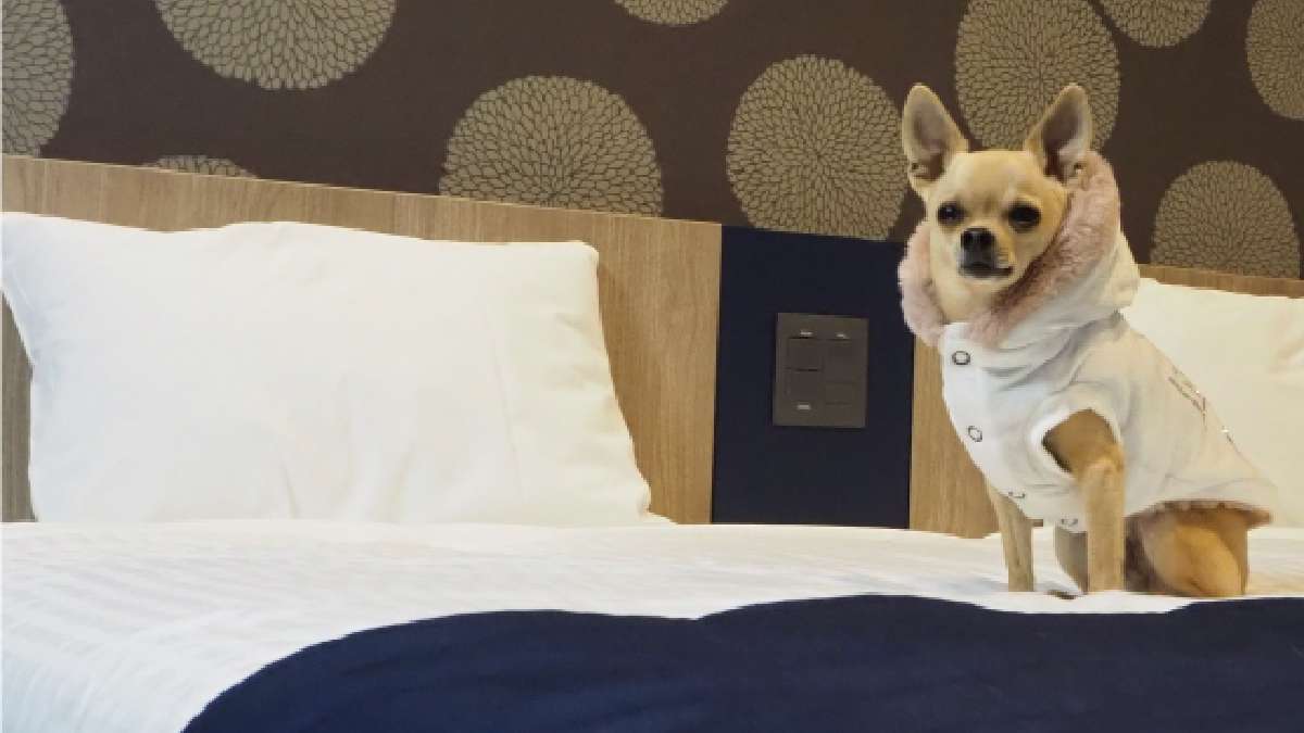 hotel MONday 羽田空港 ペットフレンドリーわんわんルーム