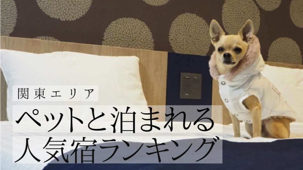 【関東】ペットと泊まれる人気宿ランキングTOP15