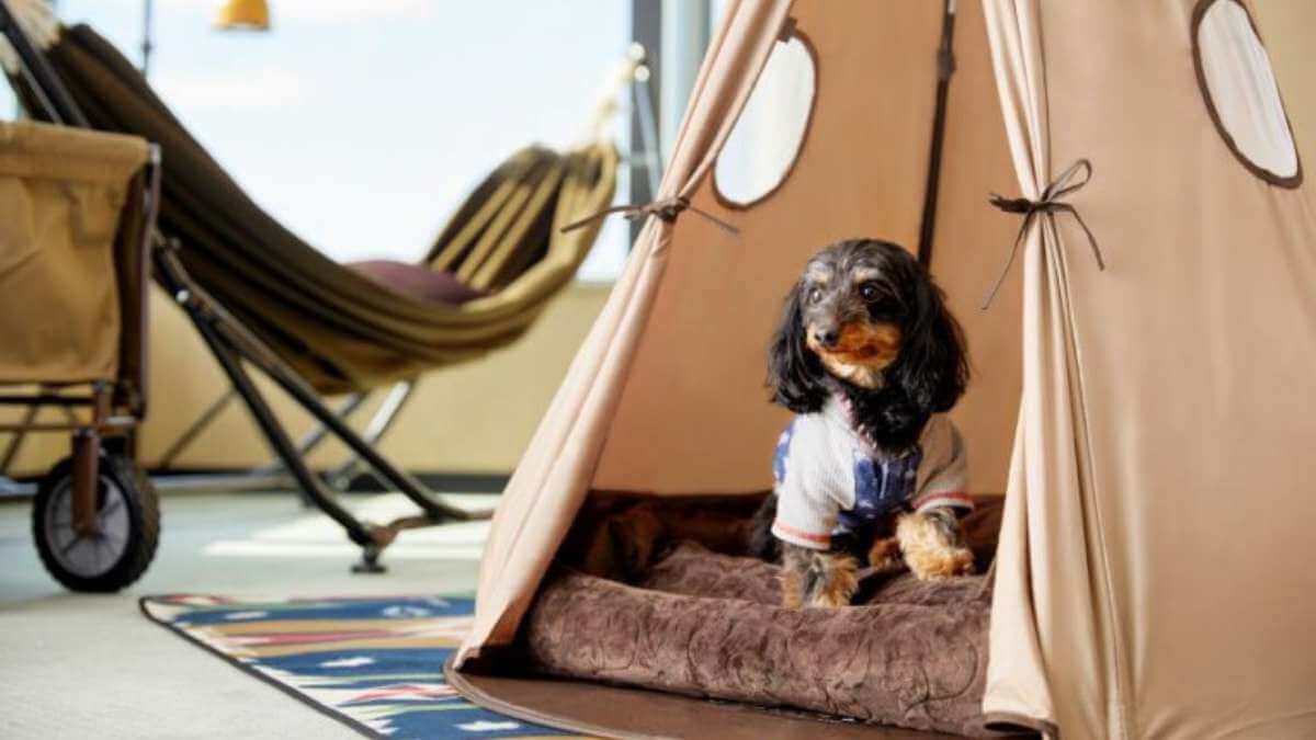 グランドプリンスホテル大阪ベイ 愛犬と泊まれる客室