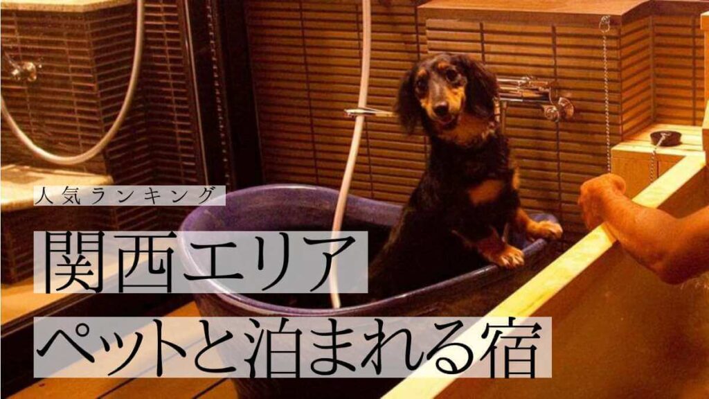 【関西】ペットと泊まれる人気宿ランキングTOP10