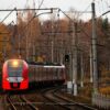 train